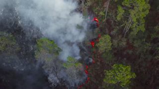 Link to Video | landscape, forest fire, smoke, environmental degradation, destruction, El Guarda, El Guarda, color, 4K resolution, 2018, environmental disaster, forest, aerial shot, day, nature, Mexico