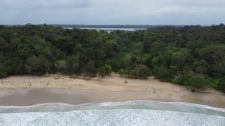 Link zum Video | Landschaft, Red Frog Beach Island Resort, Tourismusziel, Meer, Provinz Bocas del Toro, Farbe, 2020, flüssiges Wasser, Isla Bastimentos, Urlaubsregion, Strand, 2K, Luftaufnahme, Karibik, Urlaub, Panama