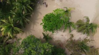 Link to Video | landscape, Red Frog Beach Island Resort, tourist destination, sea, Bocas del Toro Province, color, 2020, liquid water, Isla Bastimentos, tourism region, beach, 2K resolution, aerial shot, Caribbean, paid time off, Panama