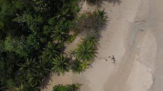 Link to Video | landscape, Red Frog Beach Island Resort, tourist destination, sea, Bocas del Toro Province, color, 2020, liquid water, Isla Bastimentos, tourism region, beach, 2K resolution, aerial shot, Caribbean, paid time off, Panama