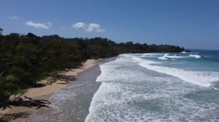 Link to Video | landscape, Red Frog Beach Island Resort, tourist destination, sea, Bocas del Toro Province, color, 2020, liquid water, Isla Bastimentos, tourism region, beach, 2K resolution, aerial shot, Caribbean, paid time off, Panama