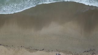 Link to Video | landscape, Red Frog Beach Island Resort, tourist destination, sea, Bocas del Toro Province, color, 2020, liquid water, Isla Bastimentos, tourism region, beach, 2K resolution, aerial shot, Caribbean, paid time off, Panama