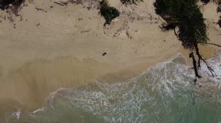 Link to Video | landscape, Red Frog Beach Island Resort, tourist destination, sea, Bocas del Toro Province, color, 2020, liquid water, Isla Bastimentos, tourism region, beach, 2K resolution, aerial shot, Caribbean, paid time off, Panama