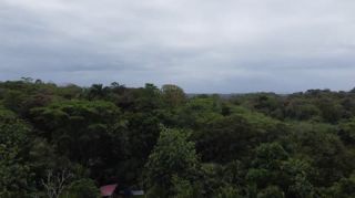 Link to Video | landscape, Red Frog Beach Island Resort, tourist destination, sea, Bocas del Toro Province, color, 2020, liquid water, Isla Bastimentos, tourism region, beach, 2K resolution, aerial shot, Caribbean, paid time off, Panama