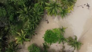 Link to Video | landscape, Red Frog Beach Island Resort, tourist destination, sea, Bocas del Toro Province, color, 2020, liquid water, Isla Bastimentos, tourism region, beach, 2K resolution, aerial shot, Caribbean, paid time off, Panama