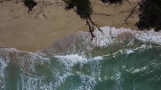 Link to Video | landscape, Red Frog Beach Island Resort, tourist destination, sea, Bocas del Toro Province, color, 2020, liquid water, Isla Bastimentos, tourism region, beach, 2K resolution, aerial shot, Caribbean, paid time off, Panama