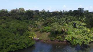 Link to Video | tourist destination, palms, sea, Bastimentos Island, Bocas del Toro Province, color, island, 2020, liquid water, Middle America, tourism region, beach, 2K resolution, aerial shot, Caribbean, paid time off, Panama, Zapatilla
