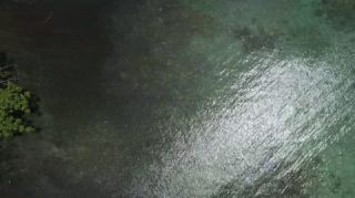 Link to Video | tourist destination, palms, sea, Bastimentos Island, Bocas del Toro Province, color, island, 2020, liquid water, Middle America, tourism region, beach, 2K resolution, aerial shot, Caribbean, paid time off, Panama, Zapatilla