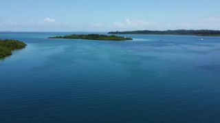 Link to Video | tourist destination, palms, sea, Bastimentos Island, Bocas del Toro Province, color, island, 2020, liquid water, Middle America, tourism region, beach, 2K resolution, aerial shot, Caribbean, paid time off, Panama, Zapatilla