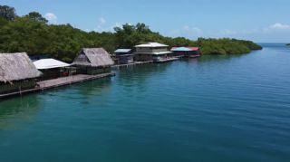 Link zum Video | Tourismusziel, Palmengewächse, Meer, Bastimentos Island, Provinz Bocas del Toro, Farbe, Insel, 2020, flüssiges Wasser, Mittelamerika, Urlaubsregion, Strand, 2K, Luftaufnahme, Karibik, Urlaub, Panama, Zapatilla