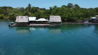 Link to Video | tourist destination, palms, sea, Bastimentos Island, Bocas del Toro Province, color, island, 2020, liquid water, Middle America, tourism region, beach, 2K resolution, aerial shot, Caribbean, paid time off, Panama, Zapatilla