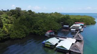 Link to Video | tourist destination, palms, sea, Bastimentos Island, Bocas del Toro Province, color, island, 2020, liquid water, Middle America, tourism region, beach, 2K resolution, aerial shot, Caribbean, paid time off, Panama, Zapatilla