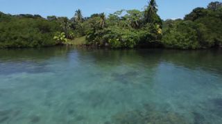 Link to Video | tourist destination, palms, sea, Bastimentos Island, Bocas del Toro Province, color, island, 2020, liquid water, Middle America, tourism region, beach, 2K resolution, aerial shot, Caribbean, paid time off, Panama, Zapatilla