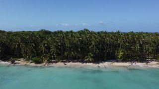 Link to Video | tourist destination, palms, sea, Bastimentos Island, Bocas del Toro Province, color, island, 2020, liquid water, Middle America, tourism region, beach, 2K resolution, aerial shot, Caribbean, paid time off, Panama, Zapatilla
