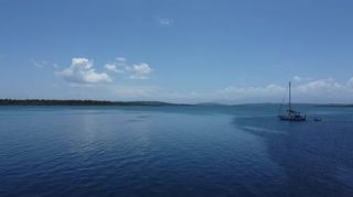 Link to Video | tourist destination, palms, sea, Bastimentos Island, Bocas del Toro Province, color, island, 2020, liquid water, Middle America, tourism region, beach, 2K resolution, aerial shot, Caribbean, paid time off, Panama, Zapatilla