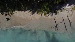 Link to Video | tourist destination, palms, sea, Bastimentos Island, Bocas del Toro Province, color, island, 2020, liquid water, Middle America, tourism region, beach, 2K resolution, aerial shot, Caribbean, paid time off, Panama, Zapatilla