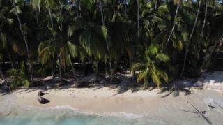 Link zum Video | Tourismusziel, Palmengewächse, Meer, Bastimentos Island, Provinz Bocas del Toro, Farbe, Insel, 2020, flüssiges Wasser, Mittelamerika, Urlaubsregion, Strand, 2K, Luftaufnahme, Karibik, Urlaub, Panama, Zapatilla