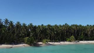 Link to Video | tourist destination, palms, sea, Bastimentos Island, Bocas del Toro Province, color, island, 2020, liquid water, Middle America, tourism region, beach, 2K resolution, aerial shot, Caribbean, paid time off, Panama, Zapatilla