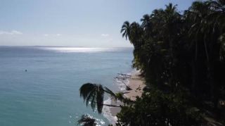 Link to Video | tourist destination, palms, sea, Bastimentos Island, Bocas del Toro Province, color, island, 2020, liquid water, Middle America, tourism region, beach, 2K resolution, aerial shot, Caribbean, paid time off, Panama, Zapatilla