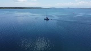 Link to Video | tourist destination, palms, sea, Bastimentos Island, Bocas del Toro Province, color, island, 2020, liquid water, Middle America, tourism region, beach, 2K resolution, aerial shot, Caribbean, paid time off, Panama, Zapatilla