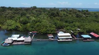 Link to Video | tourist destination, palms, sea, Bastimentos Island, Bocas del Toro Province, color, island, 2020, liquid water, Middle America, tourism region, beach, 2K resolution, aerial shot, Caribbean, paid time off, Panama, Zapatilla