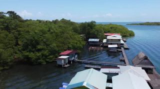 Link to Video | tourist destination, palms, sea, Bastimentos Island, Bocas del Toro Province, color, island, 2020, liquid water, Middle America, tourism region, beach, 2K resolution, aerial shot, Caribbean, paid time off, Panama, Zapatilla