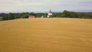 Link zum Video | Landschaft, August, Sommer, Weizen, Kornfeld, Farbe, 4K, 2019, Agrarland, Dänemark, Luftaufnahme, Ostsee, Bornholm