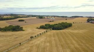 Link to Video | landscape, August, summer, wheat, cornfield, color, 4K resolution, 2019, agricultural land, Denmark, aerial shot, Baltic Sea, Bornholm