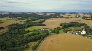 Link zum Video | Landschaft, August, Sommer, Weizen, Kornfeld, Farbe, 4K, 2019, Agrarland, Dänemark, Luftaufnahme, Ostsee, Bornholm