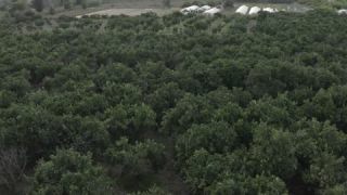 Link zum Video | Farbe, 4K, Griechenland, Luftaufnahme, 2021, Mittelmeerraum, Preveza