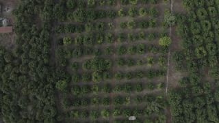 Link to Video | color, 4K resolution, Greece, aerial shot, 2021, Mediterranean Basin, Preveza Regional Unit