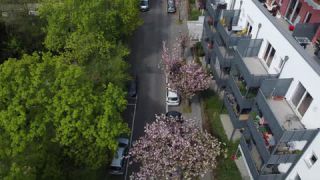 Link to Video | Rhineland-Palatinate, state capital in Germany, Mainz, Germany, color, 2020, Europe, 2K resolution, aerial shot, city, day