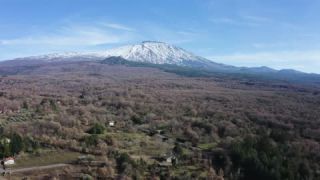 Link to Video | Stromboli, color, 4K resolution, tilt, Italy, Europe, aerial shot, Mediterranean Basin, volcano