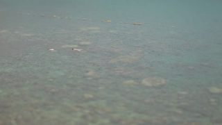 Link to Video | tilt–shift photography, Full High Definition, time-lapse photography, miniature faking, color, Diorama, special effects, miniature effect