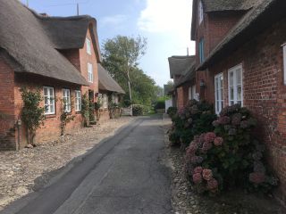 Link to Photo | Schleswig-Holstein, tourist destination, photograph, North Sea, Germany, amateur photography, color, island, 2020, North Frisian Islands, Nordfriesland district, Föhr, tourism region, day, tourism destination