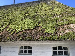 Link to Photo | Schleswig-Holstein, tourist destination, photograph, North Sea, Germany, amateur photography, color, island, 2020, North Frisian Islands, Nordfriesland district, Föhr, tourism region, day, tourism destination