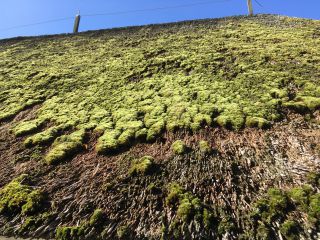 Link to Photo | Schleswig-Holstein, tourist destination, photograph, North Sea, Germany, amateur photography, color, island, 2020, North Frisian Islands, Nordfriesland district, Föhr, tourism region, day, tourism destination