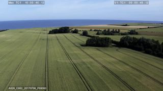 Link to Video | footage