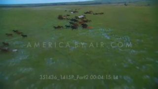 Link to Video | landscape, Full High Definition, color, United States of America, North America