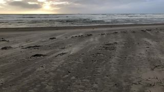 Link to Video | meditation, blue, home page, sand beach, Sehnsucht, width
