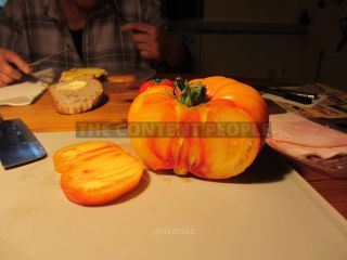 Link zum Foto | Gemüse, Beere, Nachtschattengewächse, Tomate, Orange, Nahrungsmittel