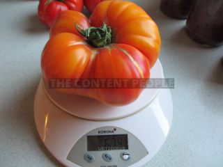 Link zum Foto | Gemüse, Beere, Nachtschattengewächse, Tomate, Orange, Nahrungsmittel