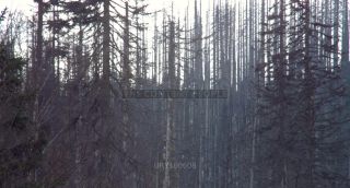 Link to Photo | liegendes Totholz, tree, climate change, environmental degradation, forest dieback, coarse woody debris, Picea abies, dryness, 2012, Czech Republic, monoculture, forest degradation, forest, Fichtenwald, global warming