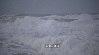 Link to Video