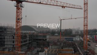 Link to Video