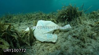 Link to Photo | plastic, sea, screenshot, waste, marine plastic pollution, pollution, ocean