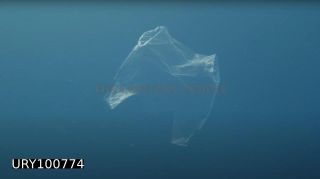 Link to Photo | plastic, sea, screenshot, waste, marine plastic pollution, pollution, ocean