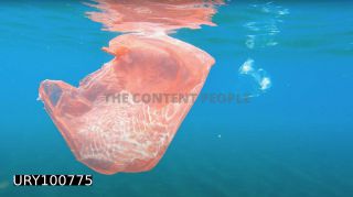 Link to Photo | plastic, sea, screenshot, waste, marine plastic pollution, pollution, ocean