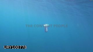 Link to Photo | plastic, sea, screenshot, waste, marine plastic pollution, pollution, ocean