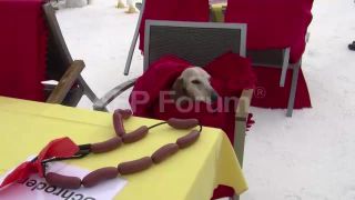 Link to Video | February 8, Agence France-Presse